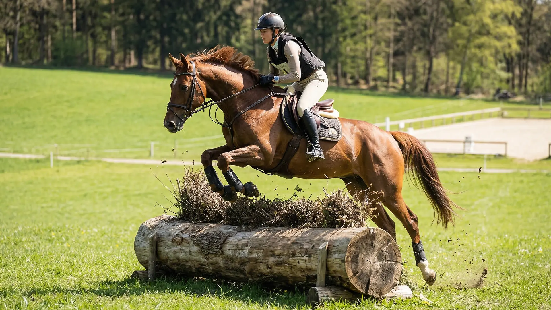 Warmblut im Training mit Risiko für Kolik, Sehnenverletzungen und hohe Pferdeklinik-Kosten