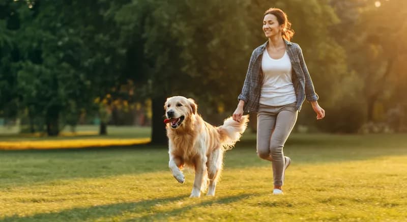 OP-Versicherung vs. Vollschutz: Was ist besser für dein Tier?